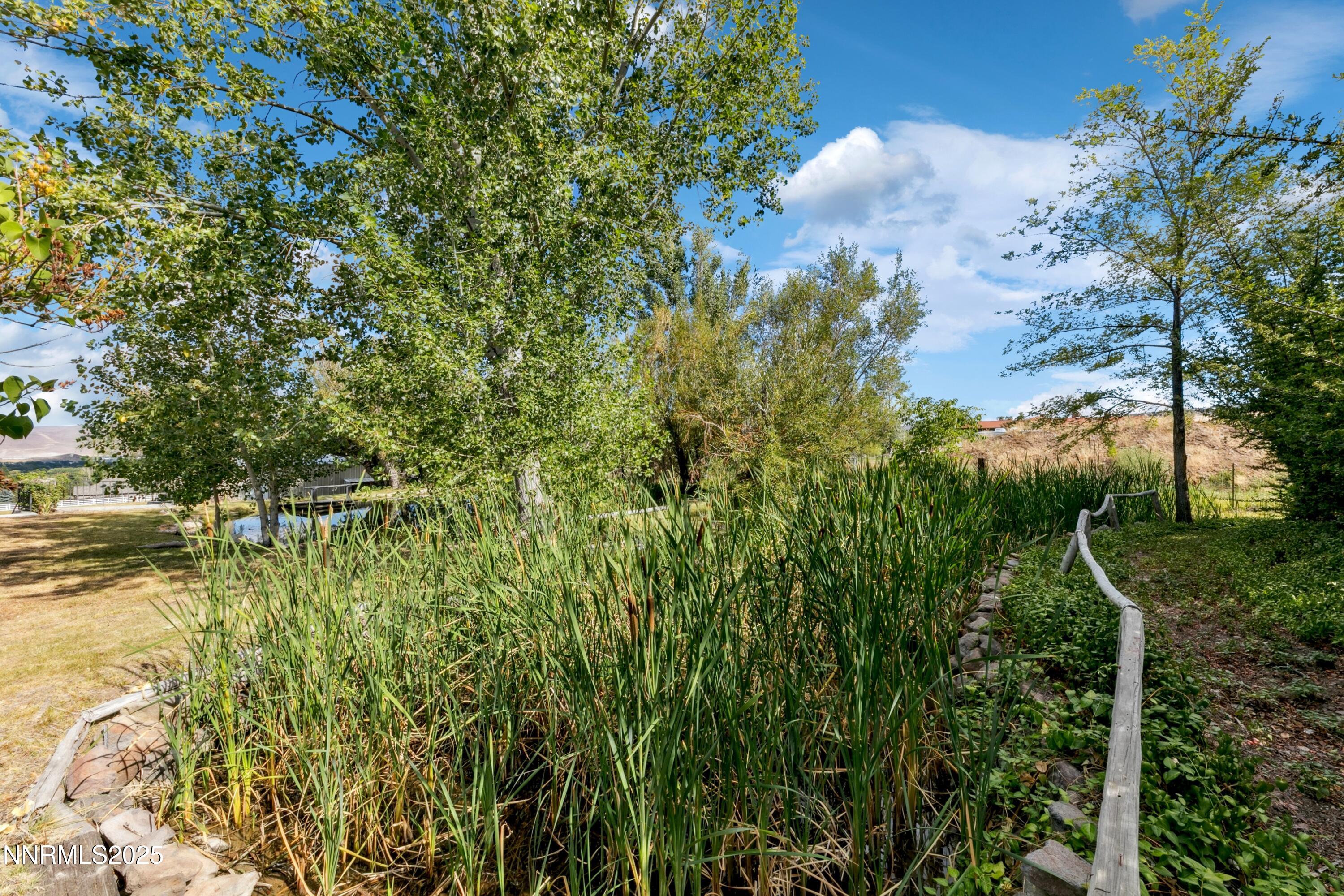 3550 Lone Tree Lane Reno, NV 89511 - Photo 11 of 40 a view of a lake with a tree
