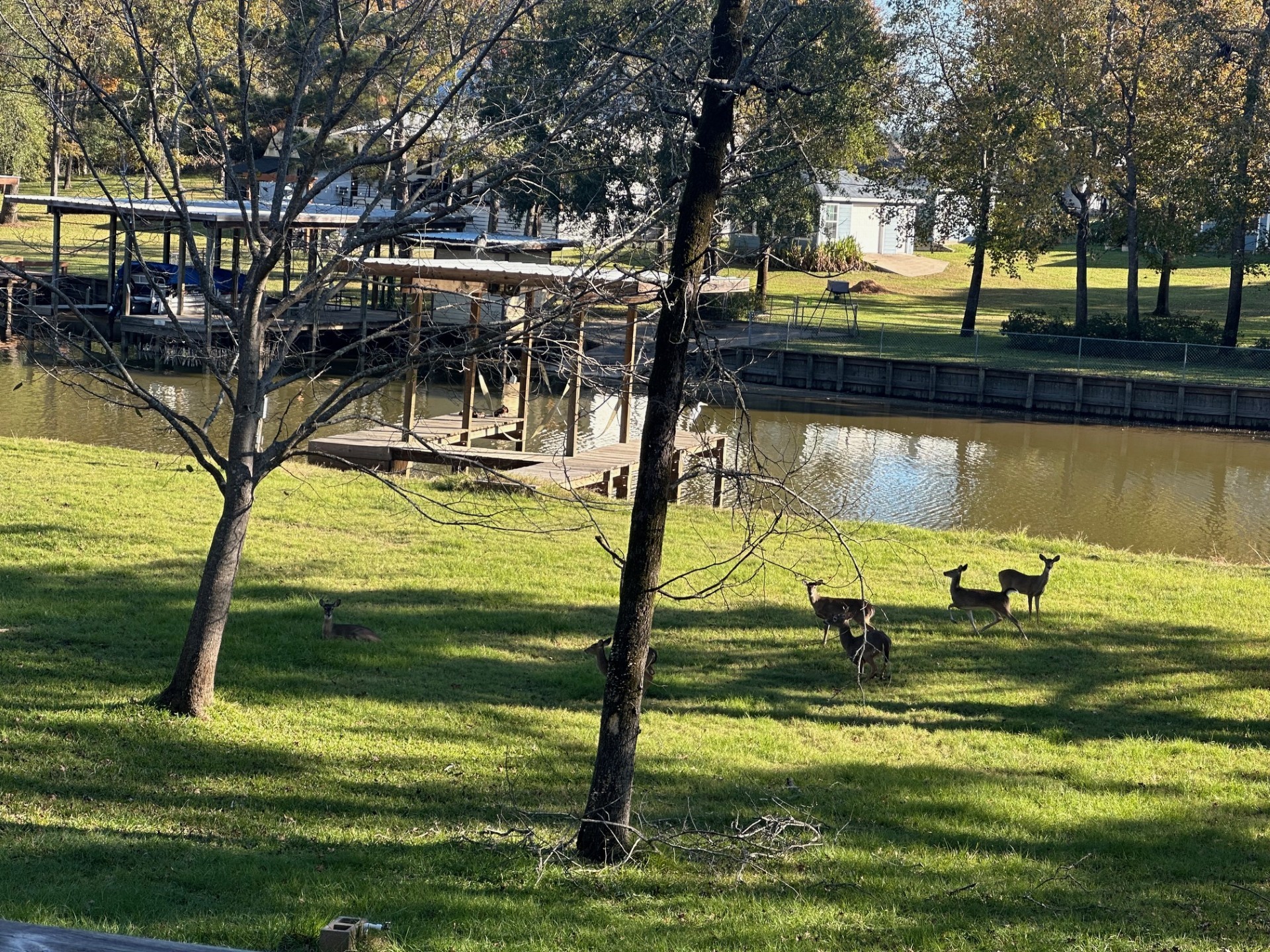254 Sharp Lane Trinity, TX 75862 - Photo 34 of 37 Enjoy the deer wandering regularly across the property...