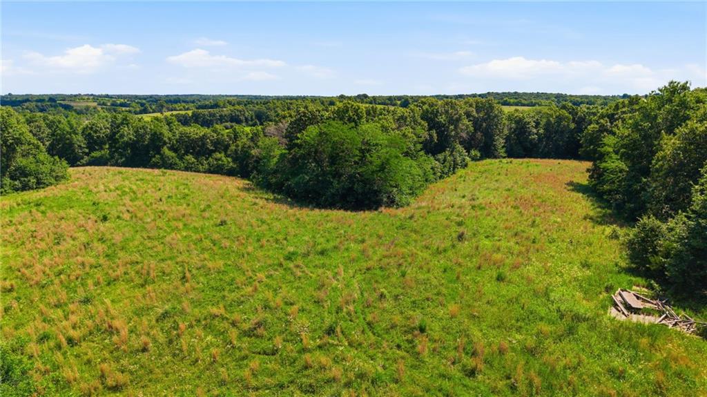 Faulk Road Purdin, MO 64674 - Photo 5 of 14