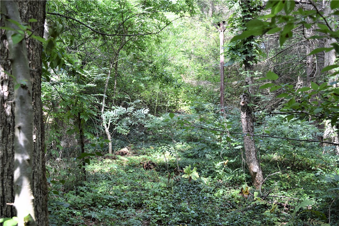 0 K K G Ranch Road Richmond, RI 02832 - Photo 2 of 6 Vacant lot