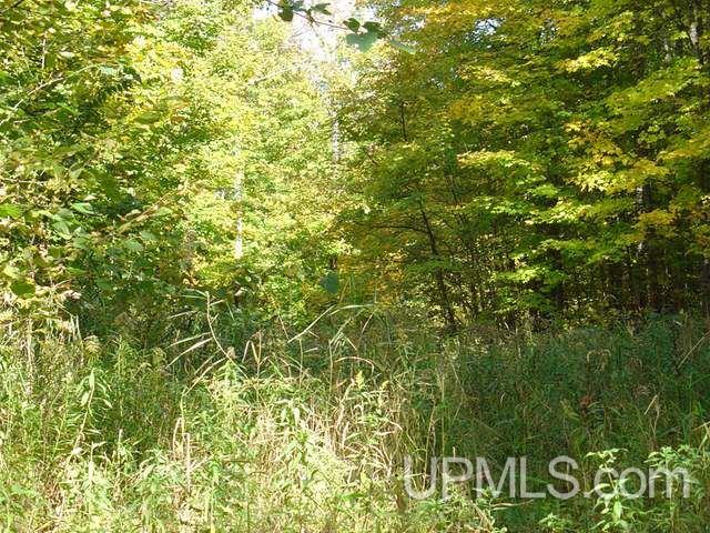 Near East Shore Road Bergland, MI 49910 - Photo 1 of 8 Gallery Image 1