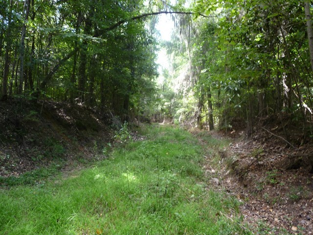 12 Pine Tree Road Eufaula, undefined 36027 - Photo 15 of 18 a view of a yard with plants and large trees