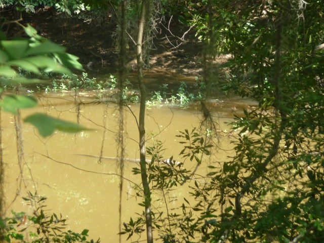 12 Pine Tree Road Eufaula, undefined 36027 - Photo 4 of 18 a view of a lake
