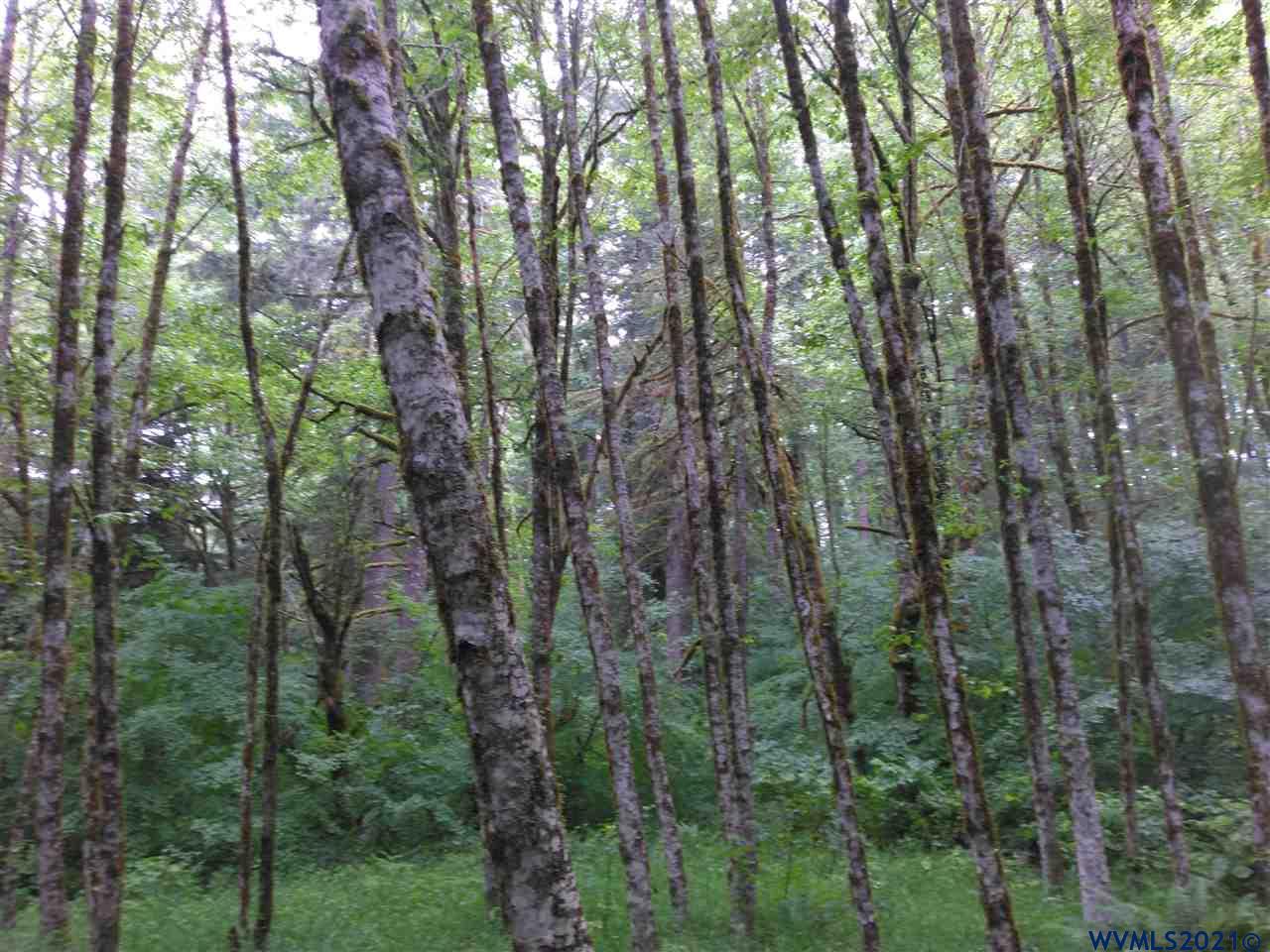 0 Dixie Mountain Road Scappoose, OR 97056 - Photo 4 of 9