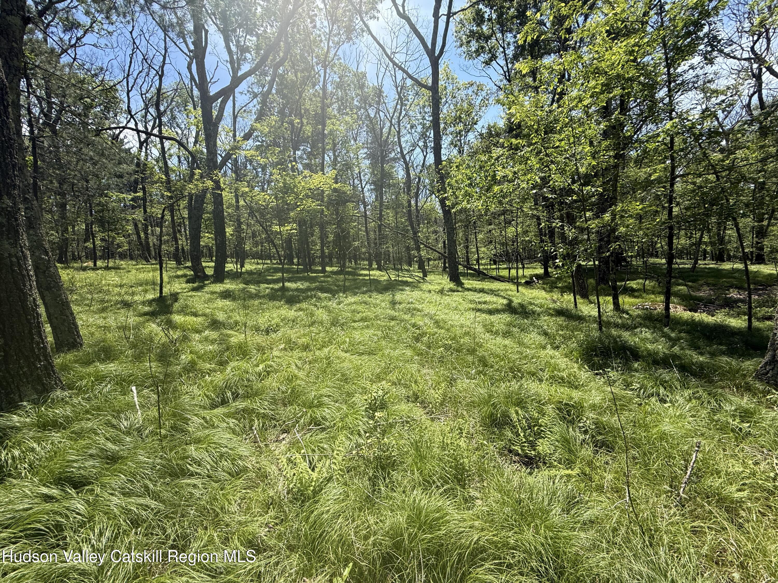 338 Mossy Hill Road Catskill, NY 12414 - Photo 5 of 17 IMG_2351