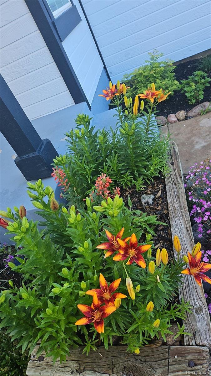 581 Longfellow Lane Highlands Ranch, CO 80126 - Photo 37 of 39