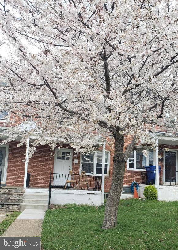 3660 Greenvale Road Baltimore, MD 21229 - Photo 1 of 20 This tree is full bloom in the Spring!
