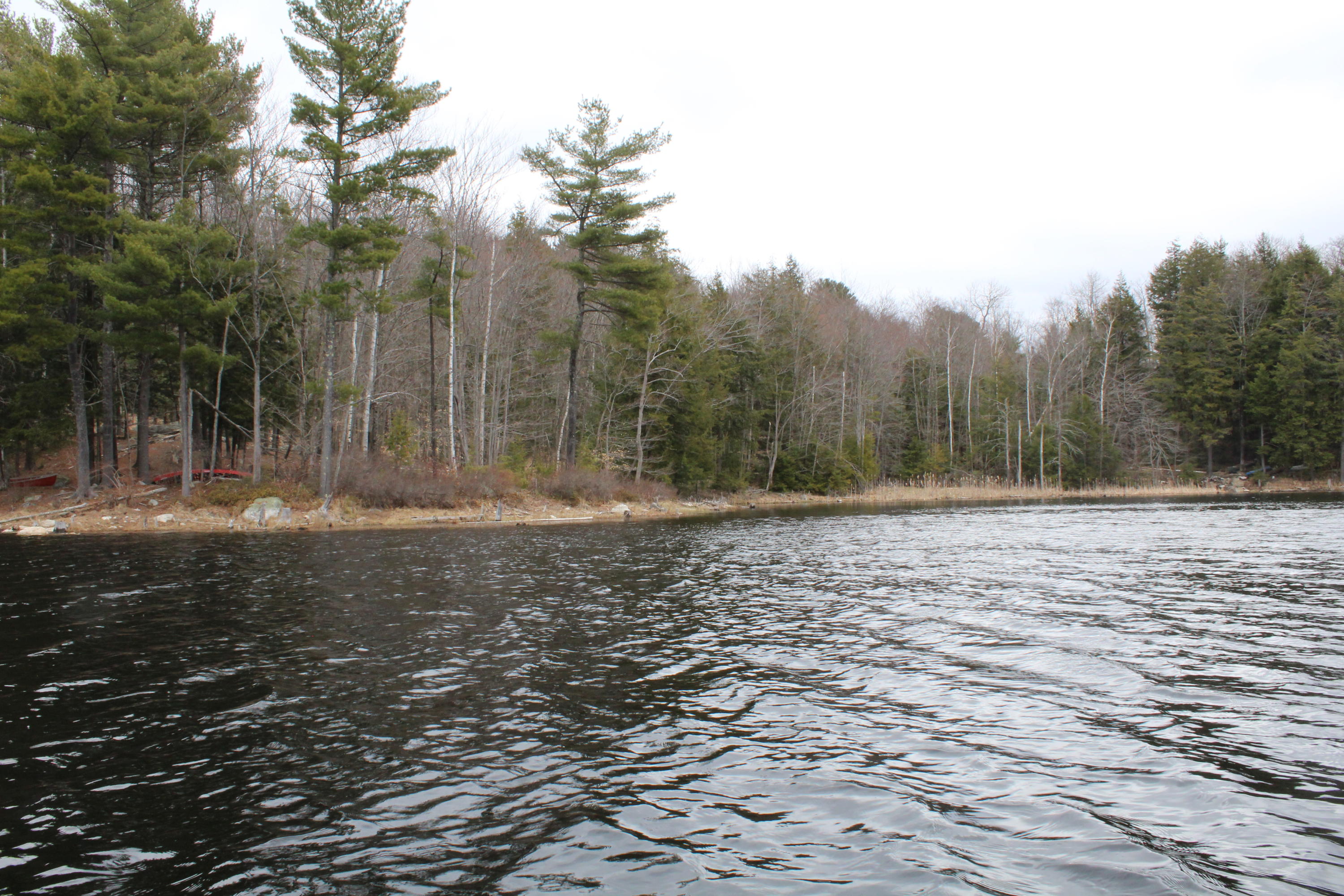 Lot 4 Sutherland Pond Road Sabattus, ME 04280 - Photo 13 of 14 IMG_3956