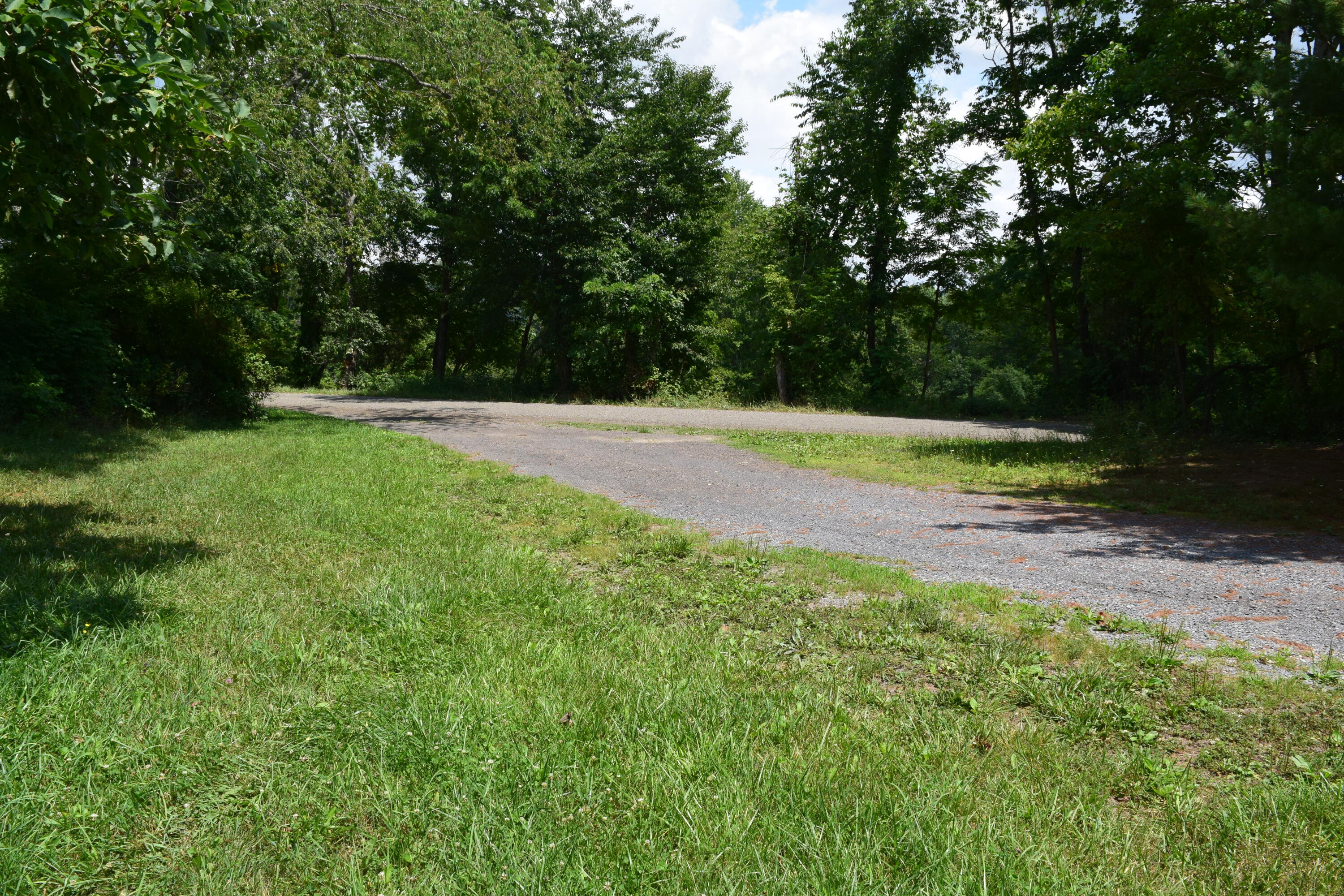 252 Reece Road Southwest Willis, VA 24380 - Photo 2 of 37 DSC_0088