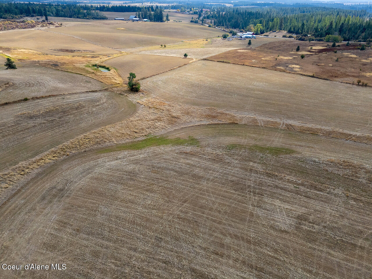 East Van Dusen Road Harrison, ID 83833 - Photo 7 of 9 20251004Lemieux_Hay-421