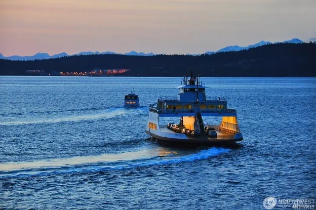 a view of a yard with trees