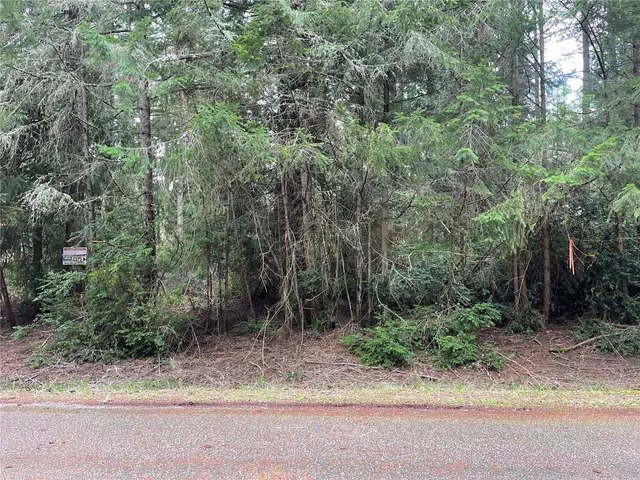 a view of a yard with trees in the background