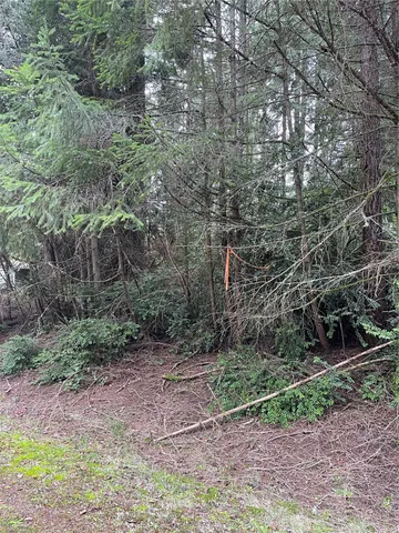 a backyard of a house with lots of plants and large tree