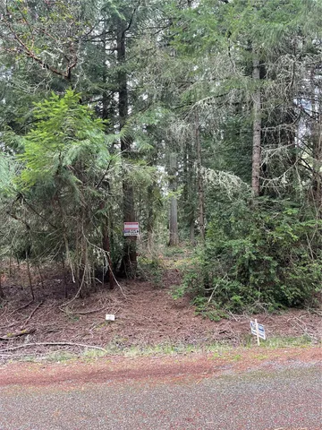 a view of a forest with trees