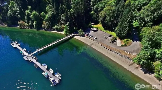 a view of a lake in middle of forest