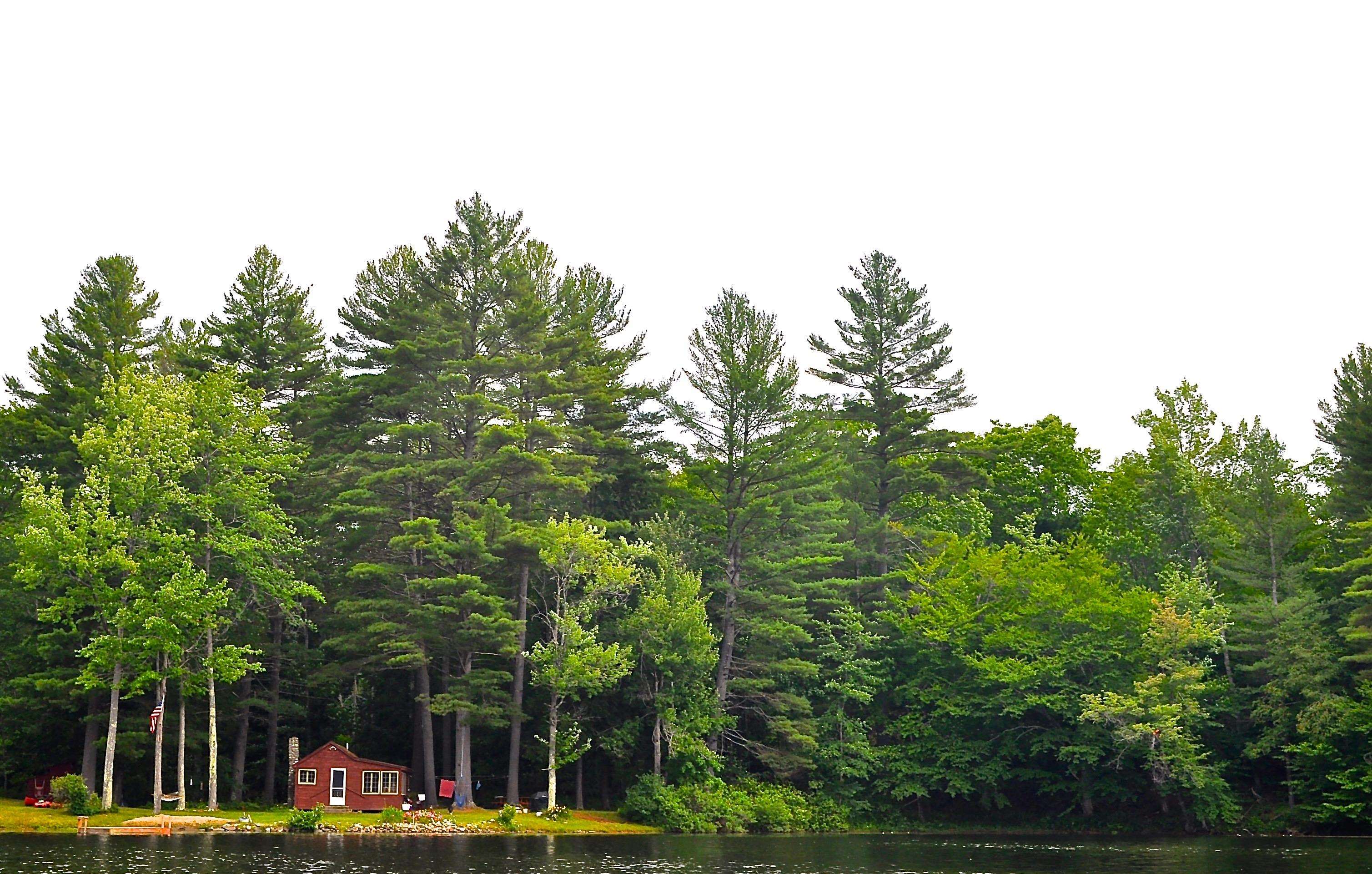 126 Red Bridge Road Ludlow, VT 05149 - Photo 2 of 19