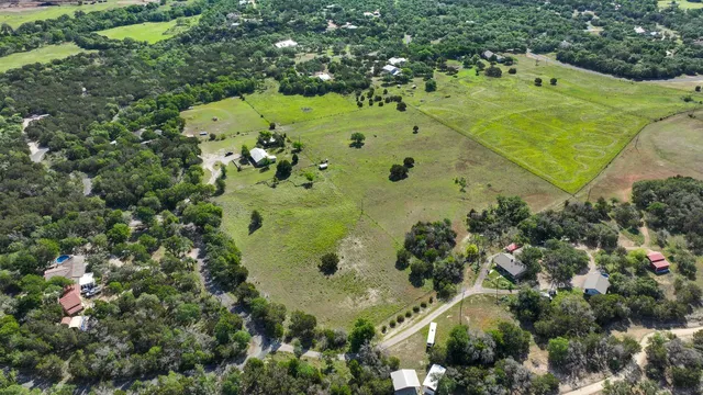 a view of a bunch of trees with flower