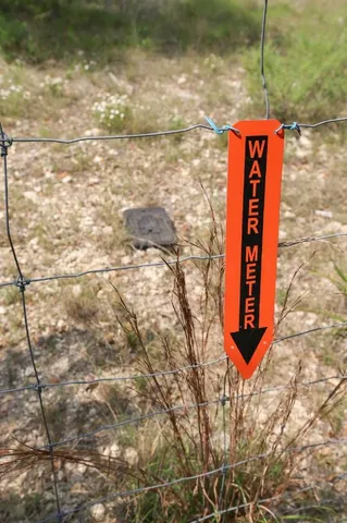 a close up of a plant