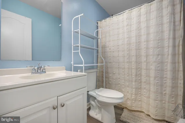 a bathroom with a sink a toilet and shower curtain