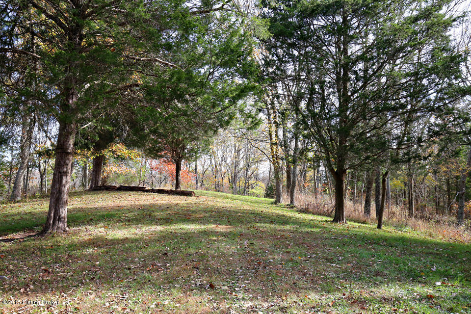 405-407 East Prong Locust Road Milton, KY 40045 - Photo 38 of 51 LREP0066