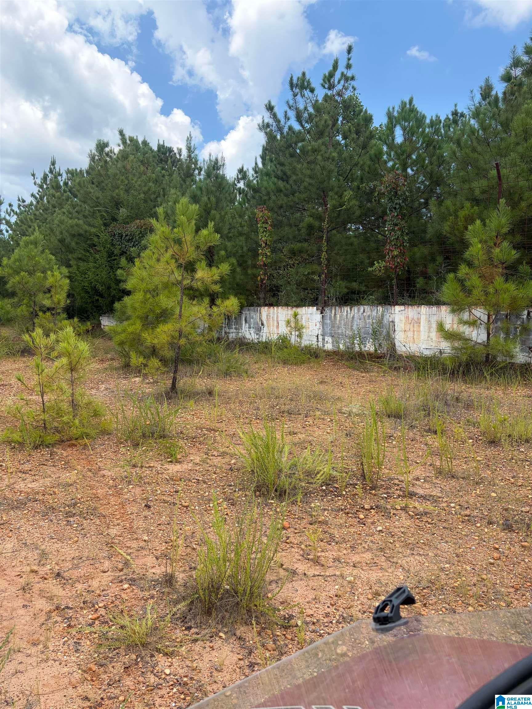 228 County Road, Unit 1 Clanton, AL 35045 - Photo 13 of 22 Gallery Image 13