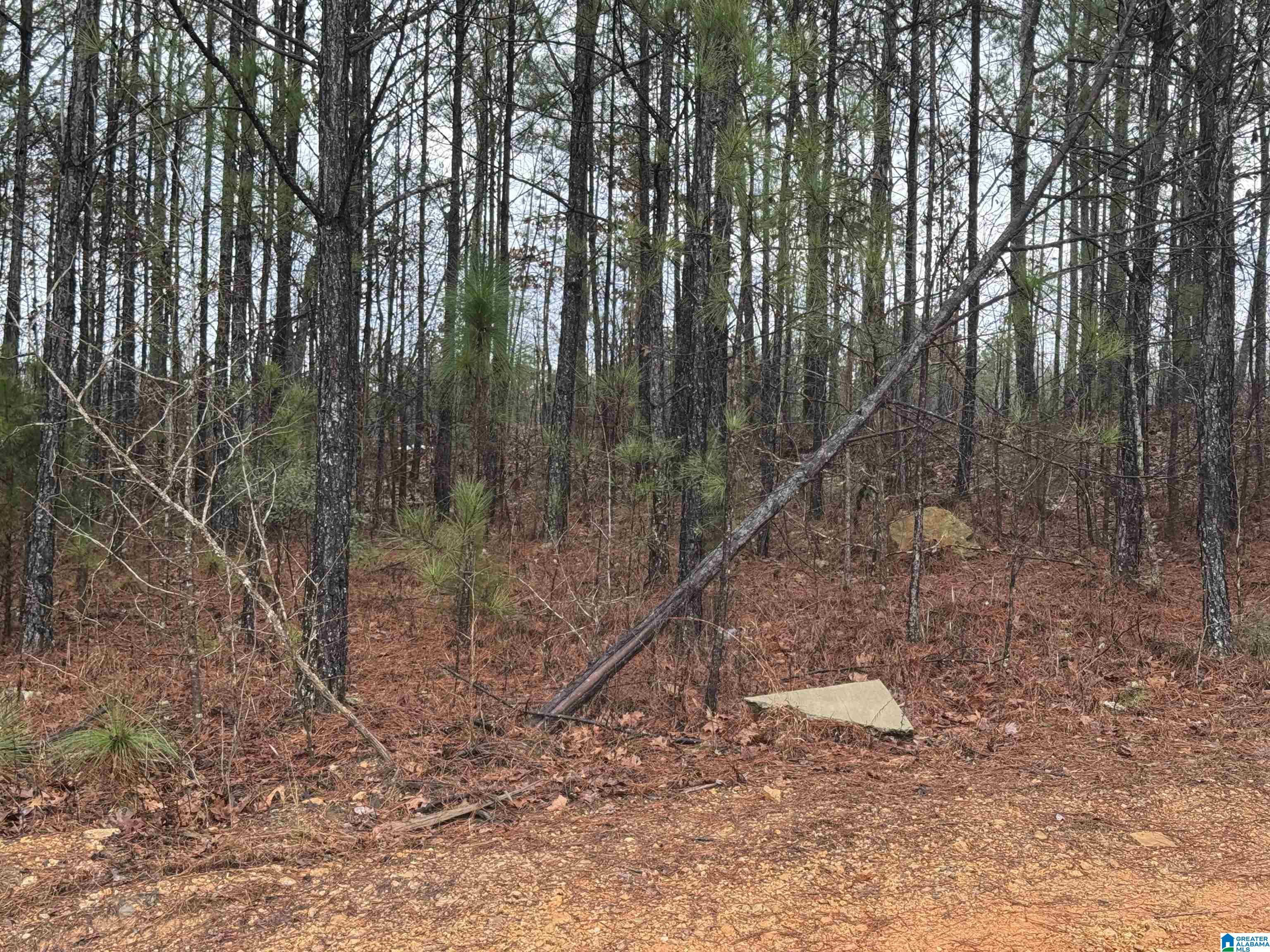 350 Willow Lane, Unit 9 Vincent, AL 35178 - Photo 1 of 2