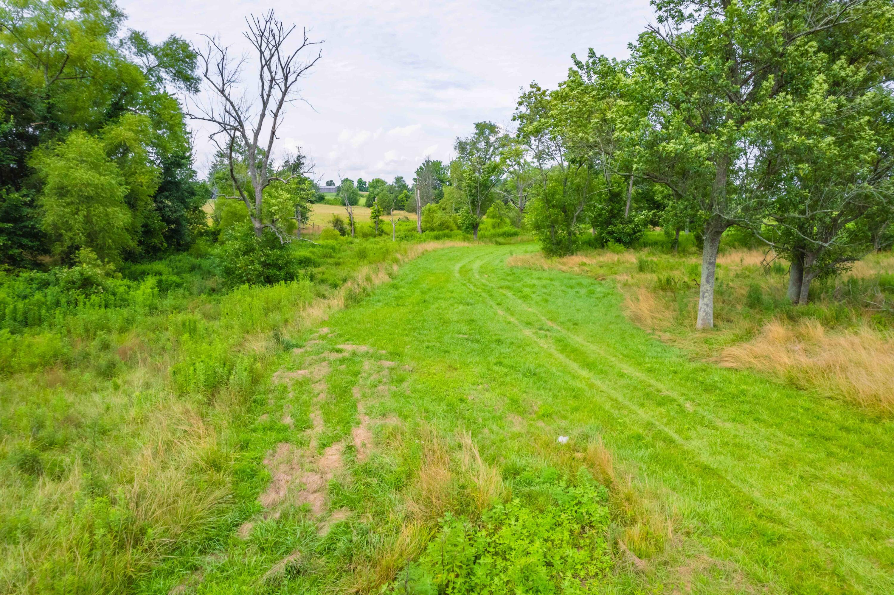2040 Old Bull Road Eubank, KY 42567 - Photo 22 of 33 DJI_010522