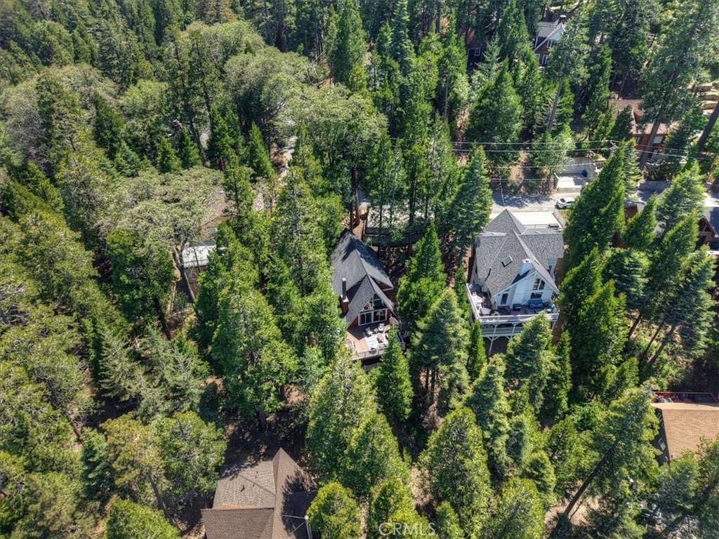 349 Castle Gate Road Lake Arrowhead, CA 92352 - Photo 73 of 77