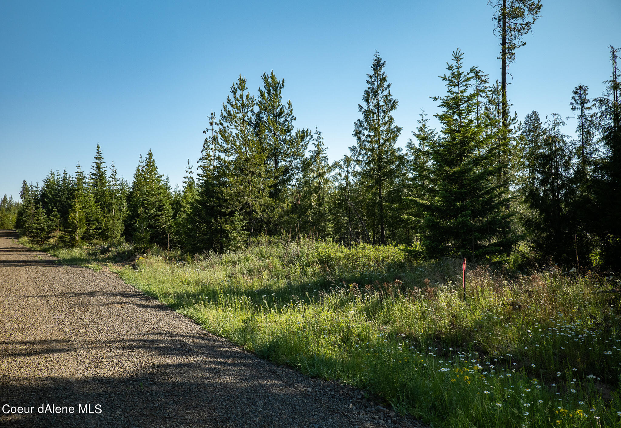 Lot 16 Sportsman Rd Street St. Maries, ID 83861 - Photo 1 of 1 Front View