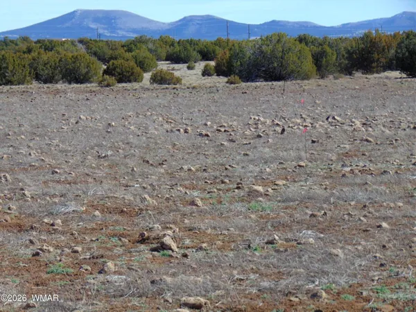$18,000 | 15 Mills Concho Az 85924, St. Johns, AZ 85936