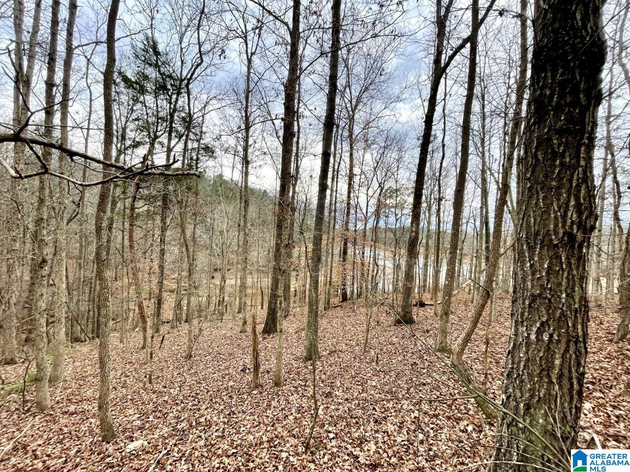 Warren Road, Unit 1 78 Wedowee, AL 36278 - Photo 4 of 6