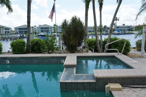 a view of a yard with a palm trees