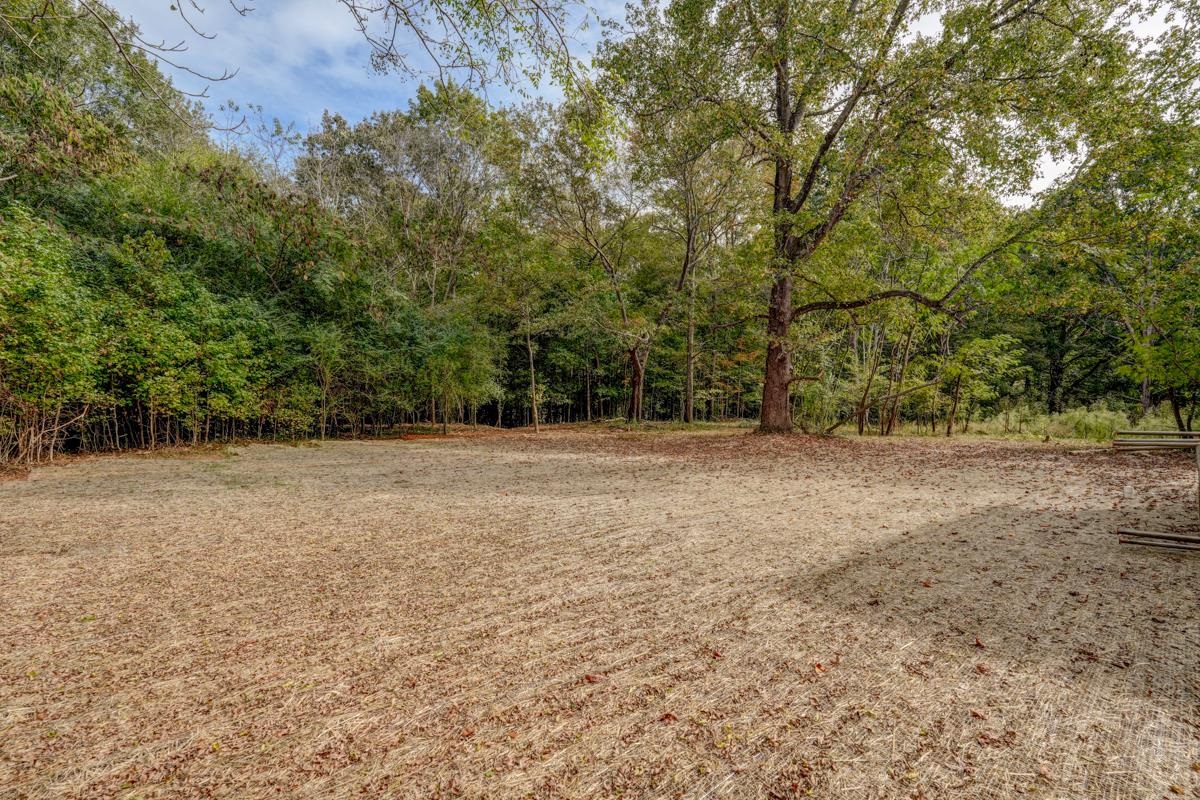 115 Pink Robinson Road Woodruff, SC 29388 - Photo 2 of 34