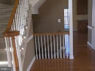 Interior (General)