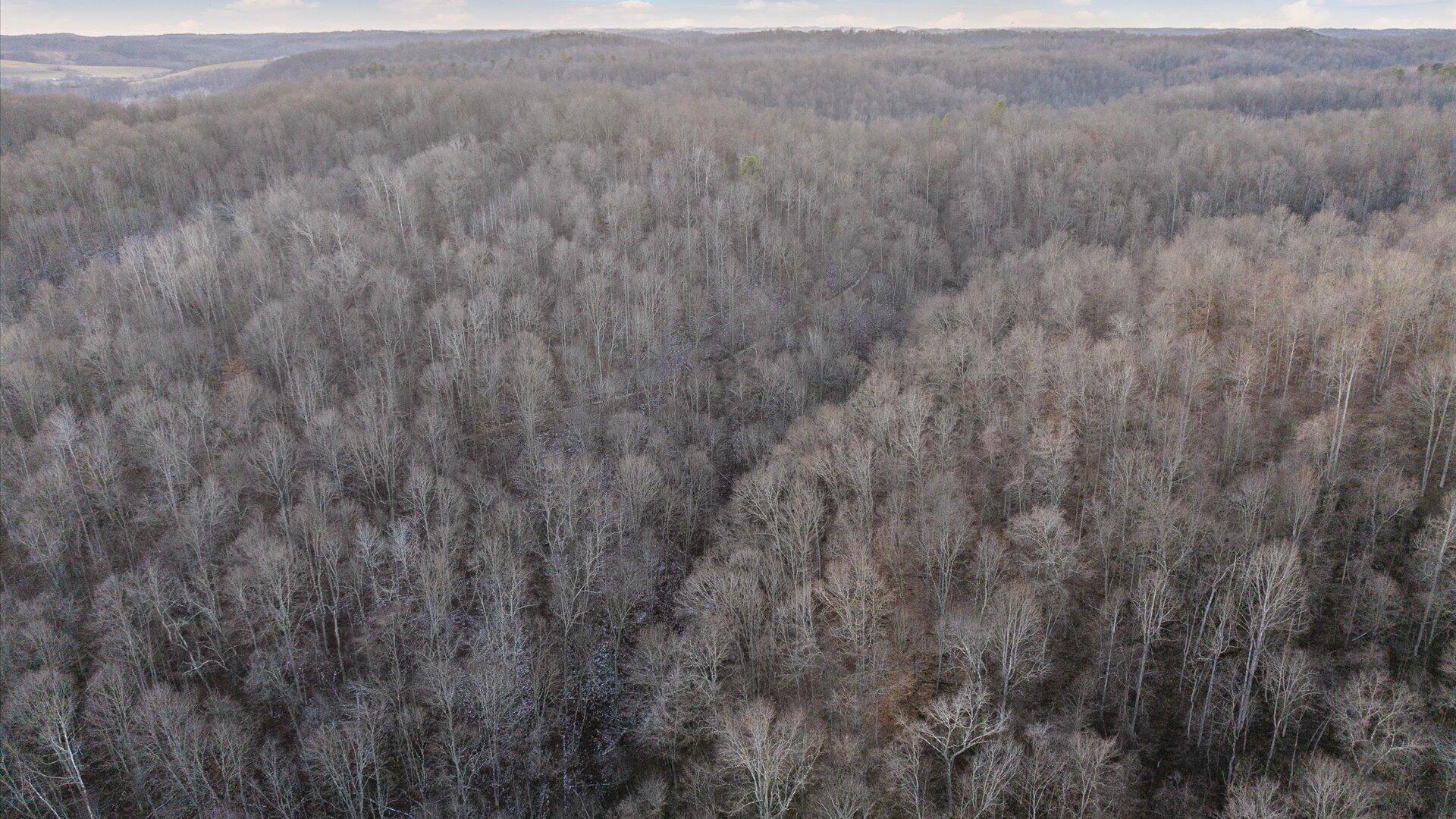 31201 Claypool Hollow Road McArthur, OH 45651 - Photo 78 of 89 085-z 31201 Claypool119
