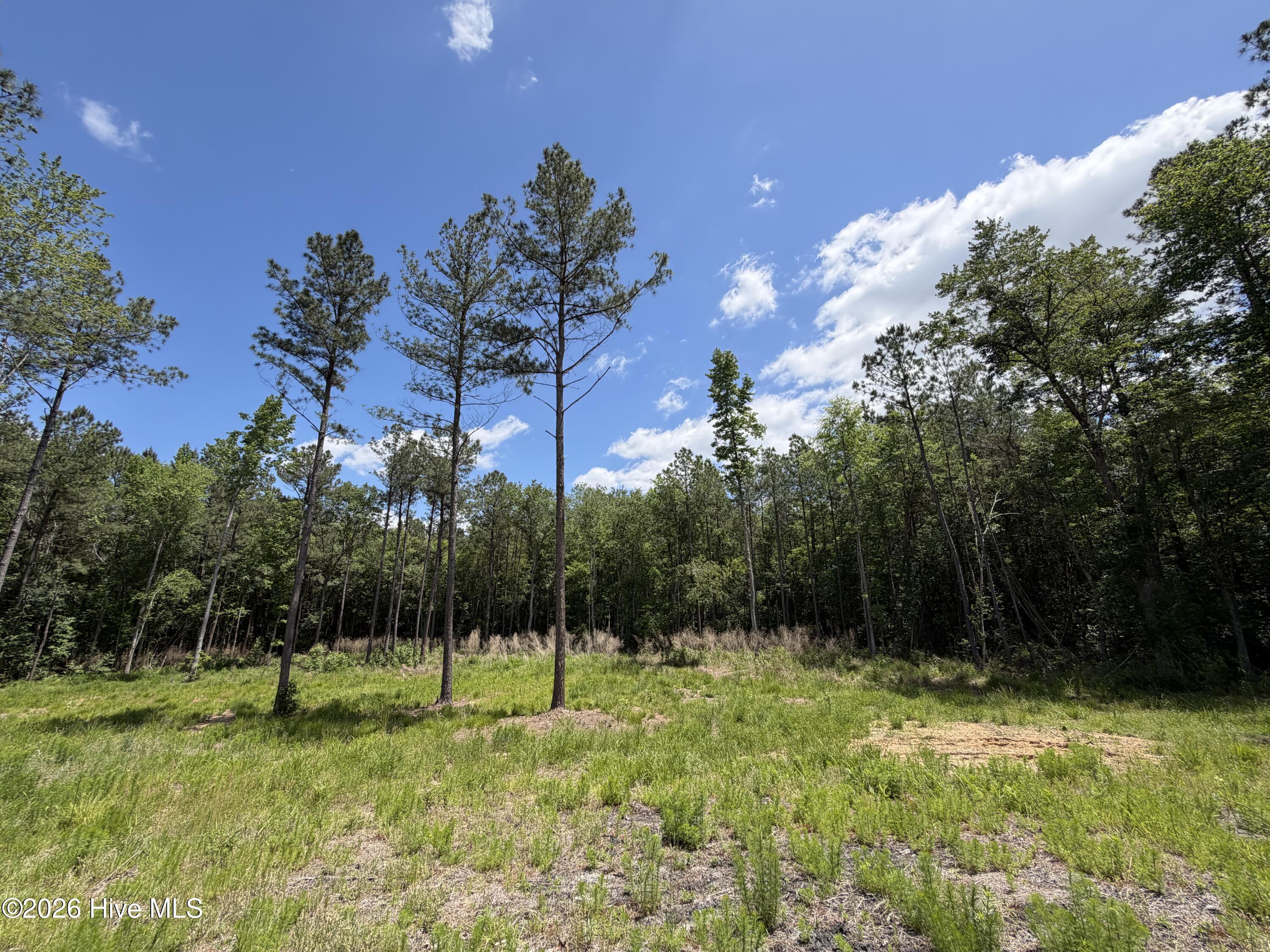 979 Aiken Road Vass, NC 28394 - Photo 3 of 26 979 Aiken Rd 3