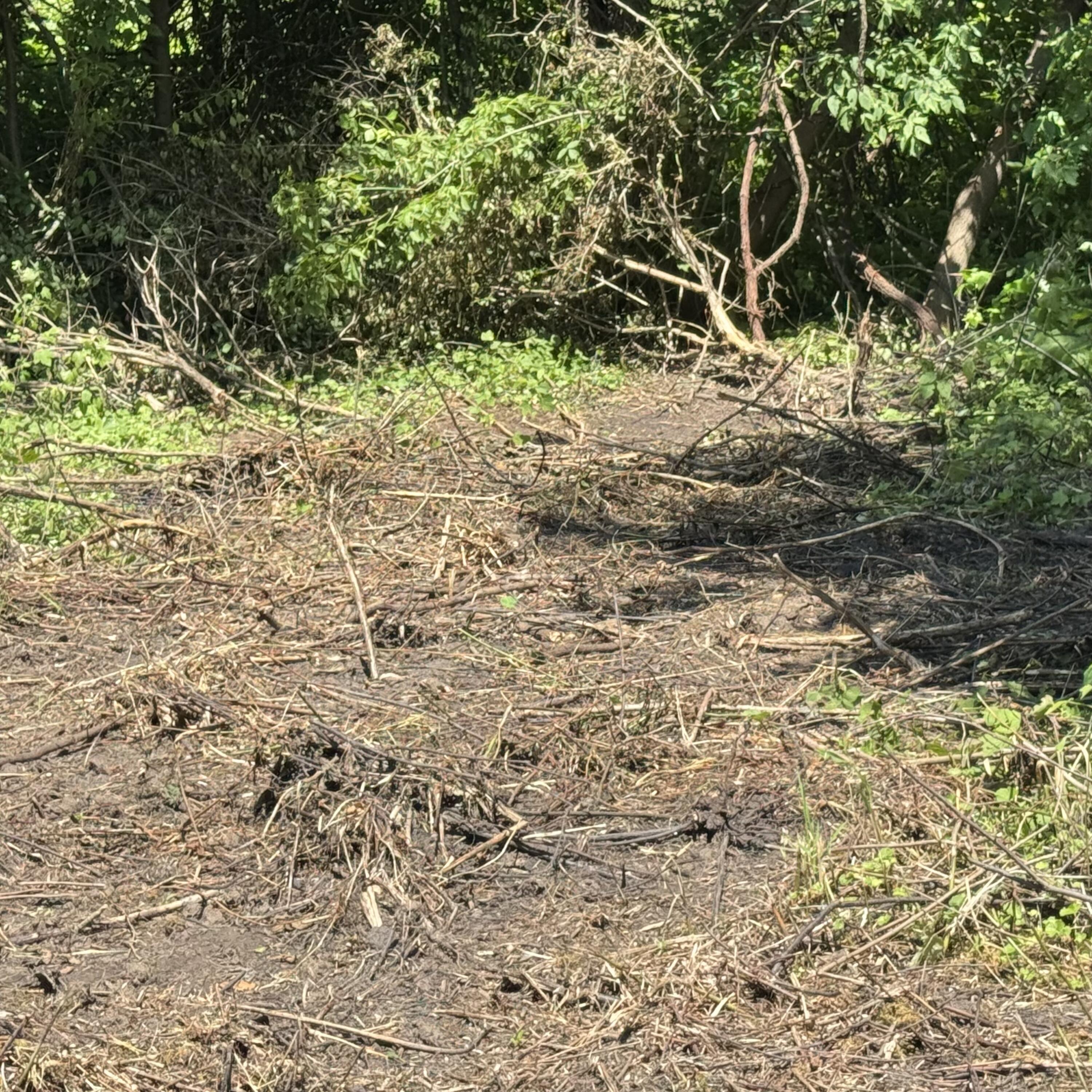 Lt1 Northwoods Drive Port Washington, WI 53074 - Photo 2 of 7 IMG_4581