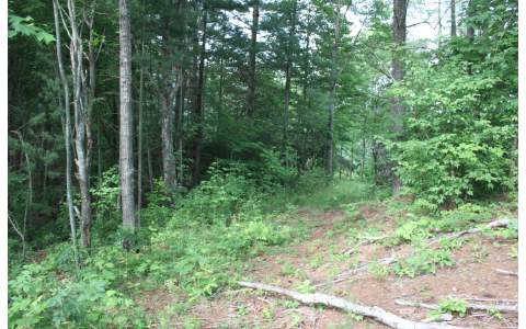 13 Richlen Ridge Road Morganton, GA 30560 - Photo 1 of 1 Main View
