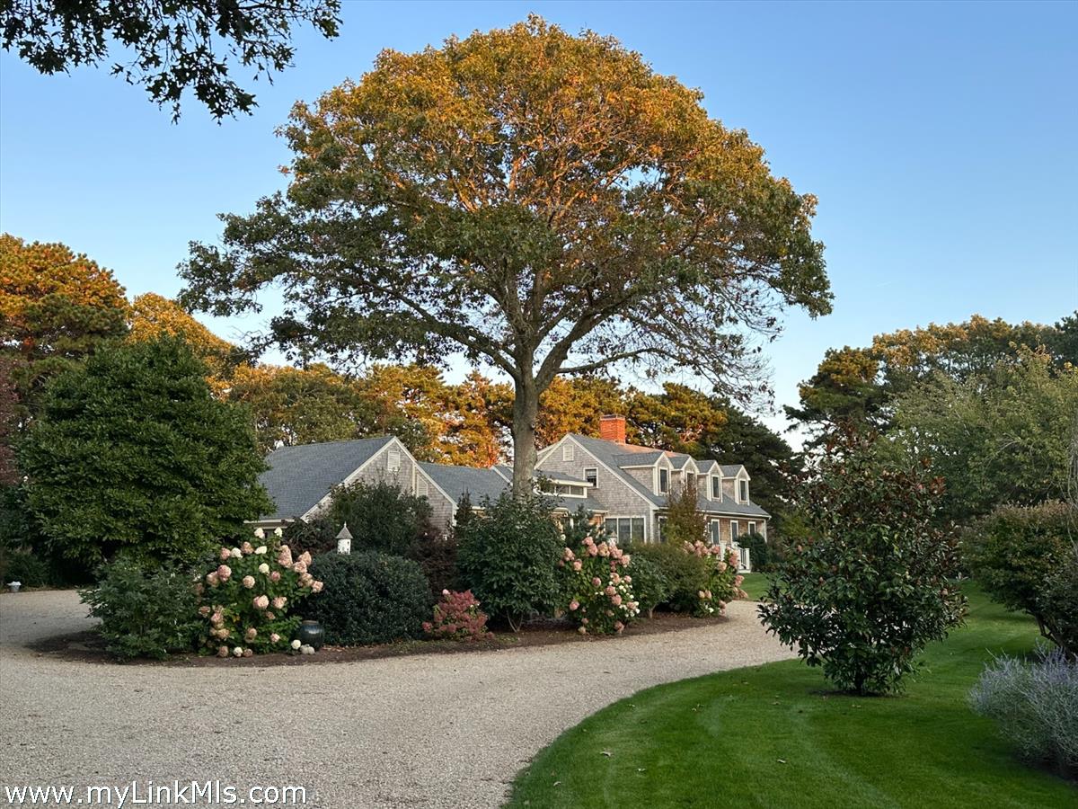 20 Edson Forest Road West Tisbury, MA 02568 - Photo 34 of 47 Drive in bloom