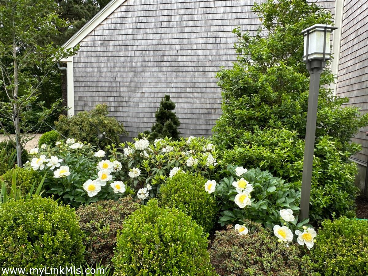 20 Edson Forest Road West Tisbury, MA 02568 - Photo 35 of 47 Blooms by the garage