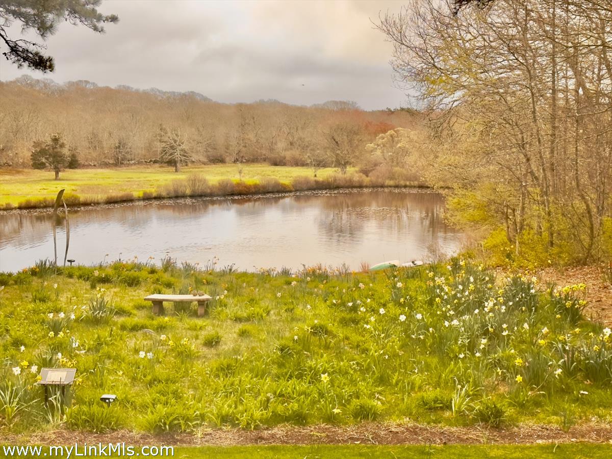 20 Edson Forest Road West Tisbury, MA 02568 - Photo 43 of 47 Pond view in spring