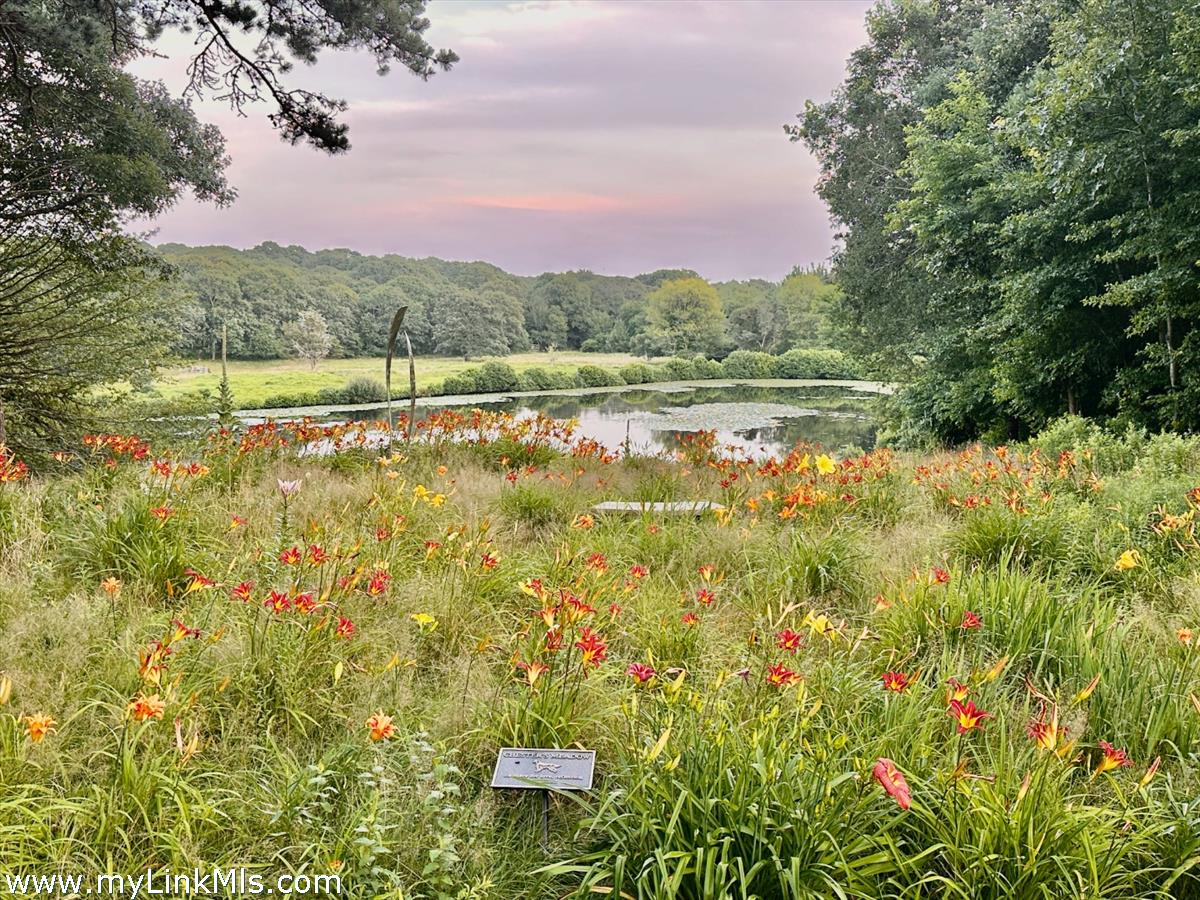 20 Edson Forest Road West Tisbury, MA 02568 - Photo 45 of 47 Late summer