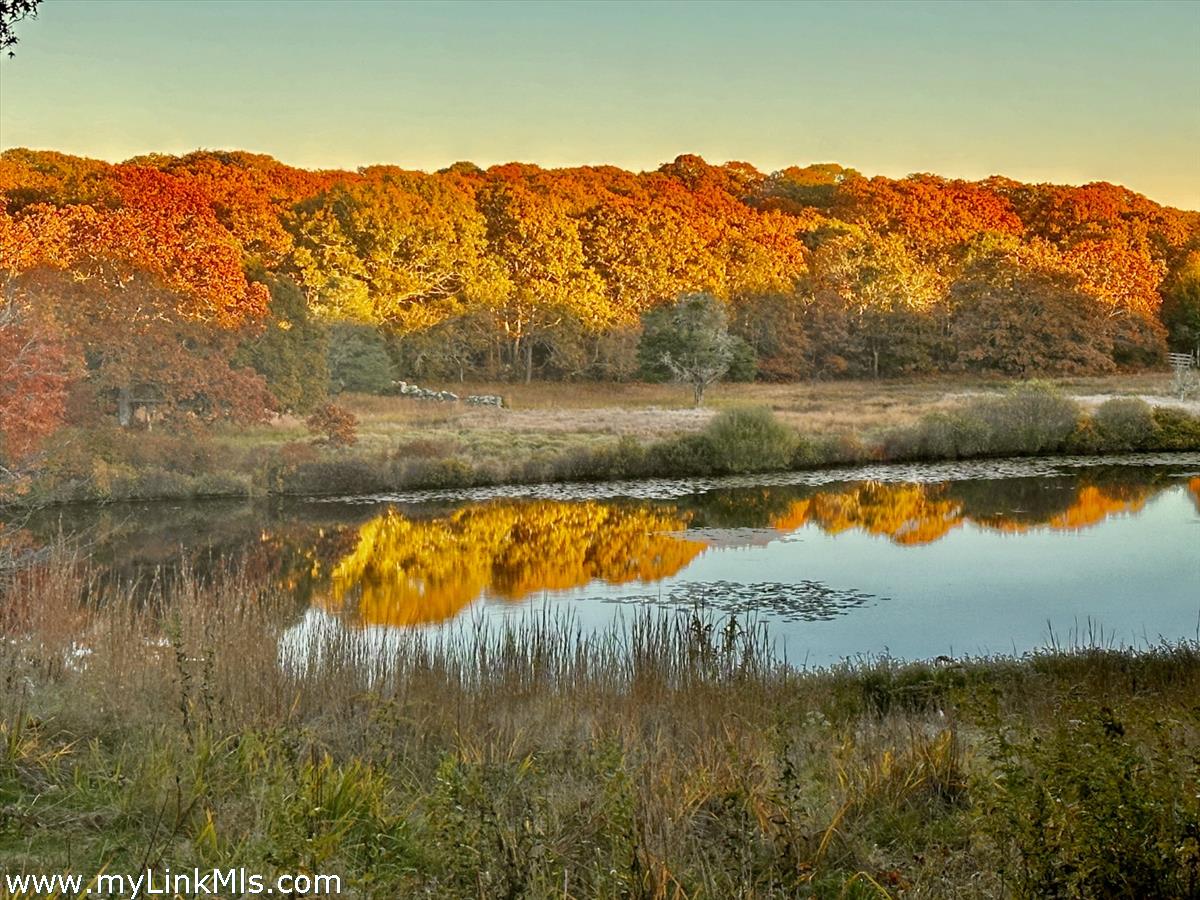 20 Edson Forest Road West Tisbury, MA 02568 - Photo 46 of 47 Autumn