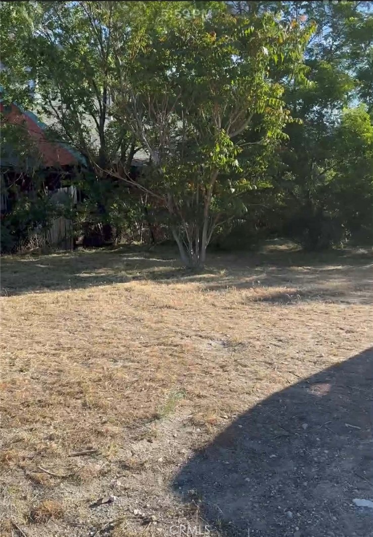 0 Santa Rosa Trail Frazier Park, CA 93225 - Photo 1 of 2 a view of a yard with trees