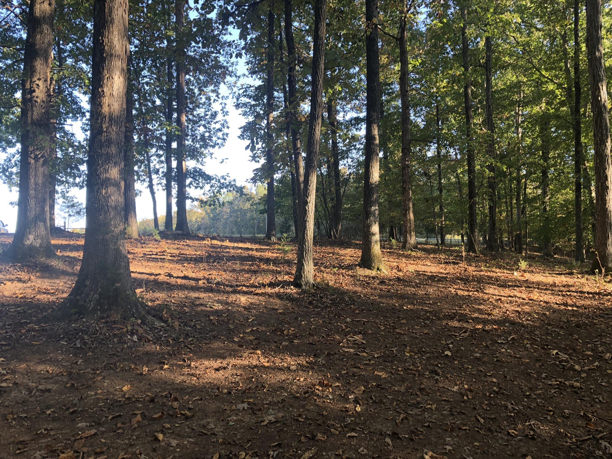 0 Ed Sanders Road Lynchburg, TN 37352 - Photo 1 of 10