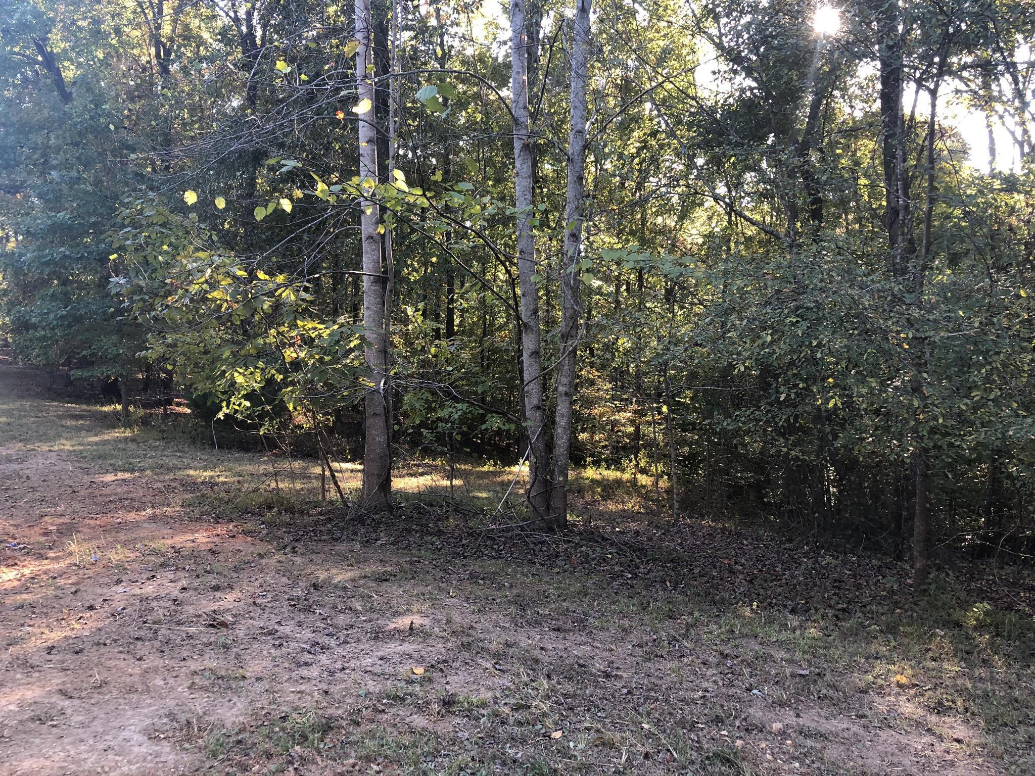 0 Ed Sanders Road Lynchburg, TN 37352 - Photo 4 of 10