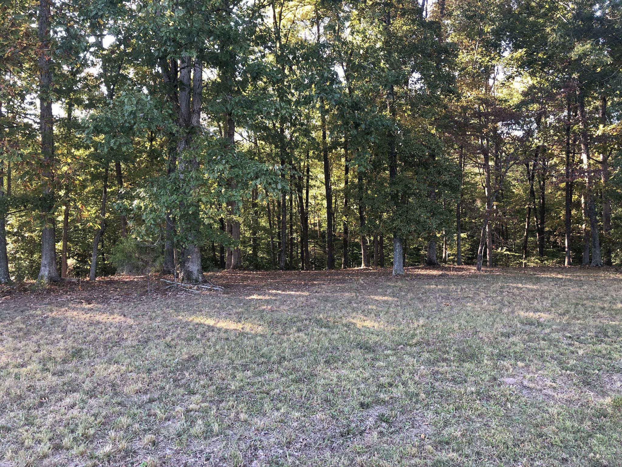 0 Ed Sanders Road Lynchburg, TN 37352 - Photo 5 of 10