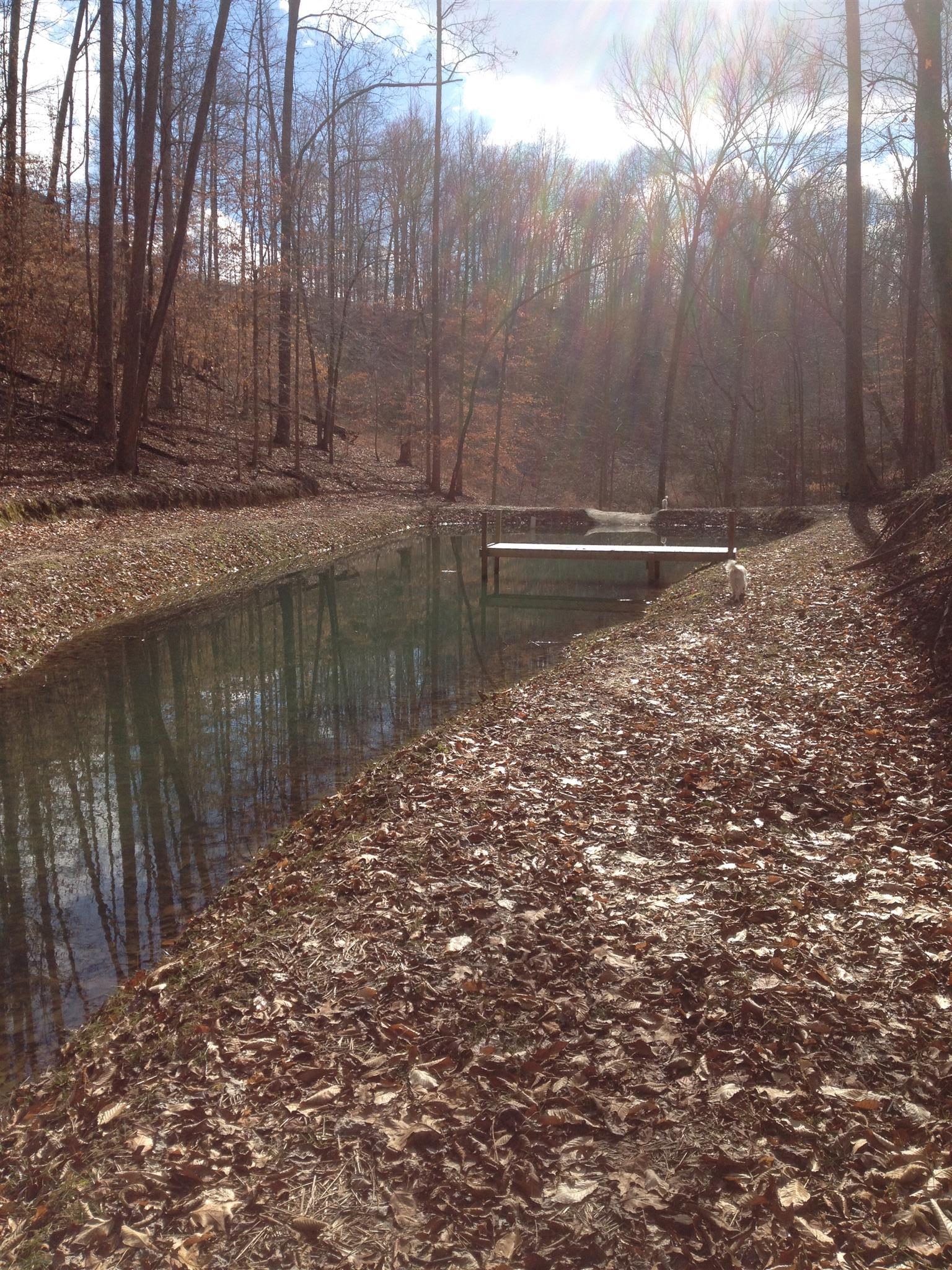 0 Ed Sanders Road Lynchburg, TN 37352 - Photo 7 of 10