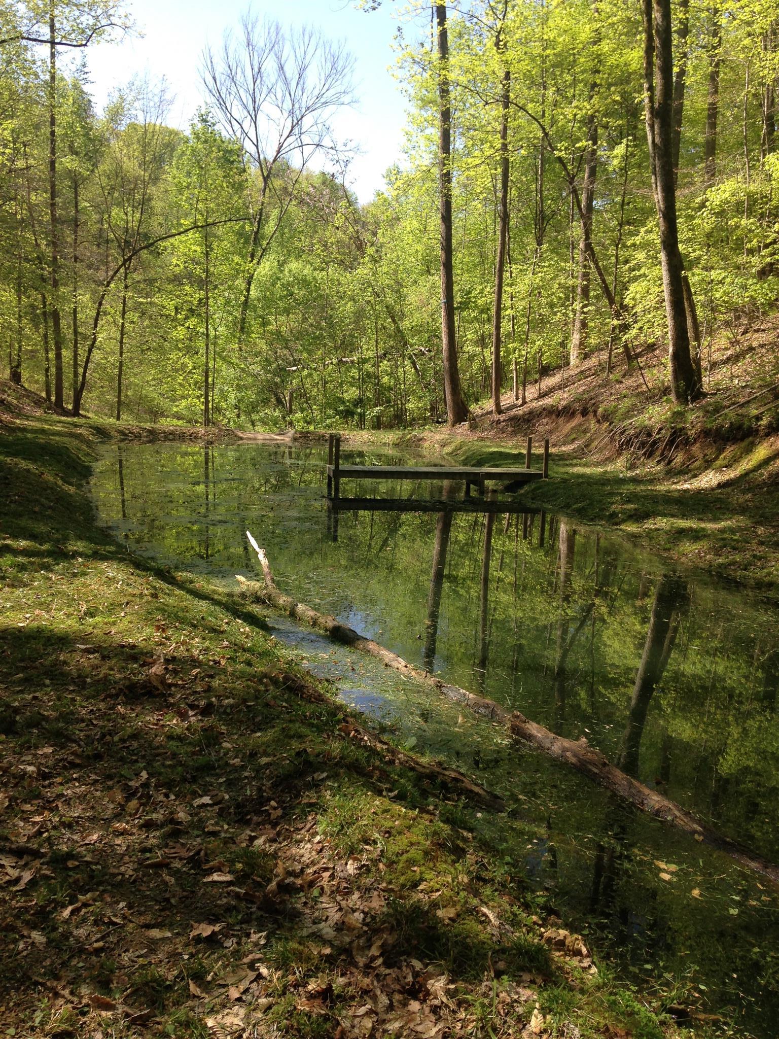 0 Ed Sanders Road Lynchburg, TN 37352 - Photo 8 of 10