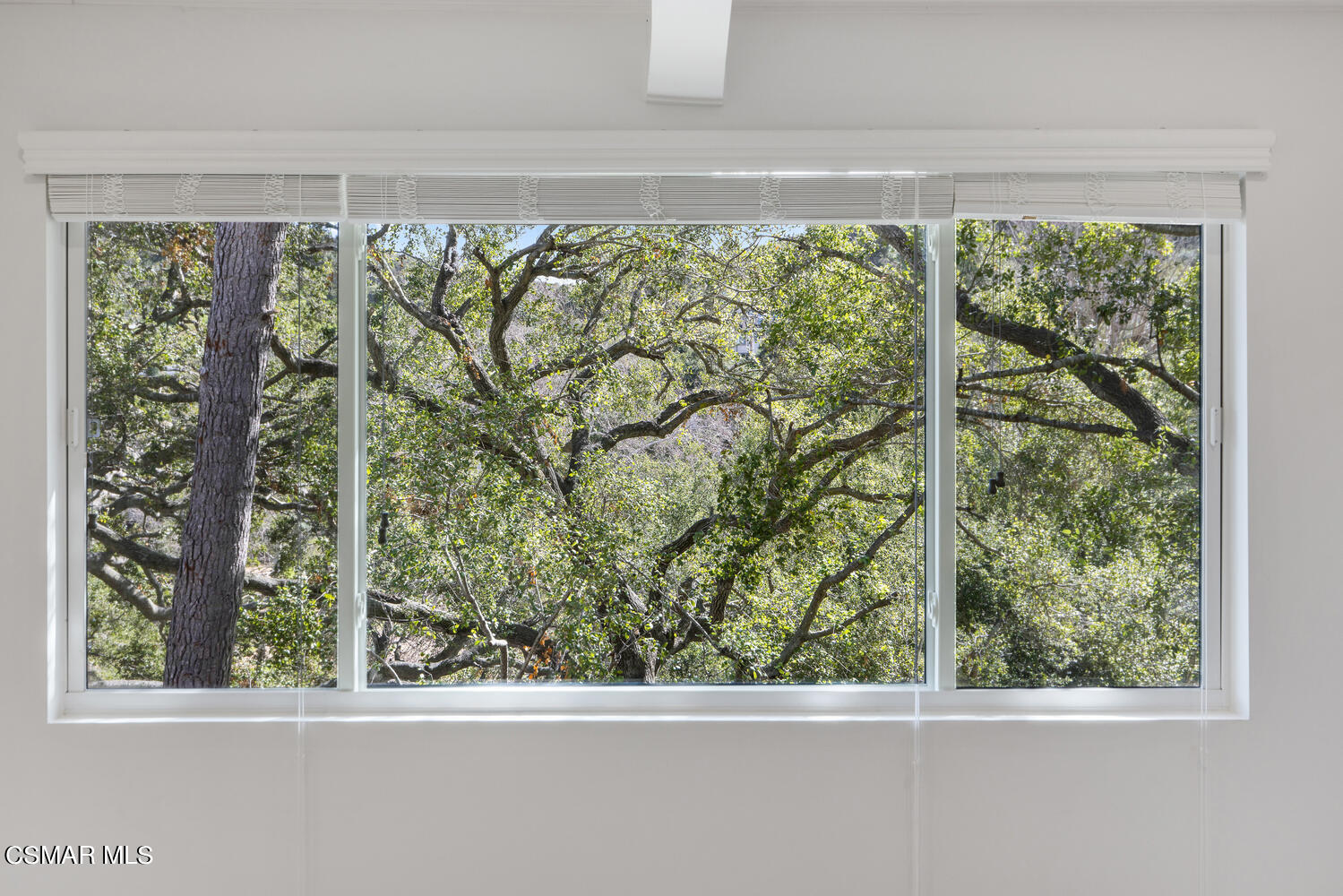 2224 Thorsby Road Lake Sherwood, CA 91361 - Photo 36 of 45 a view of a garden from a window